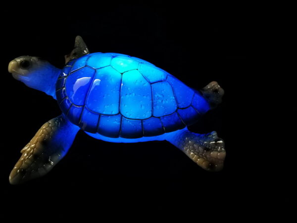 turtle with light - Image 2