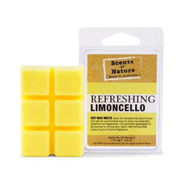 Refreshing limoncello soy melt