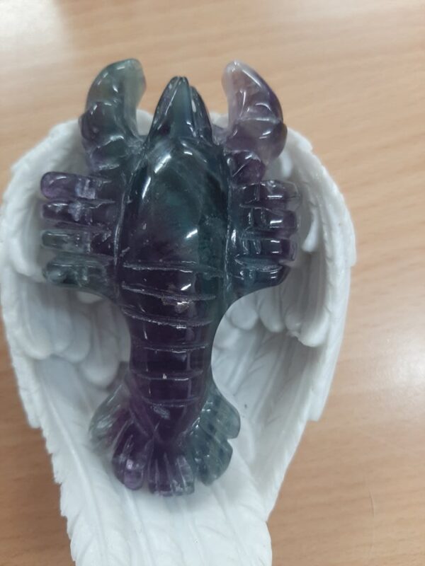 Fluorite lobster