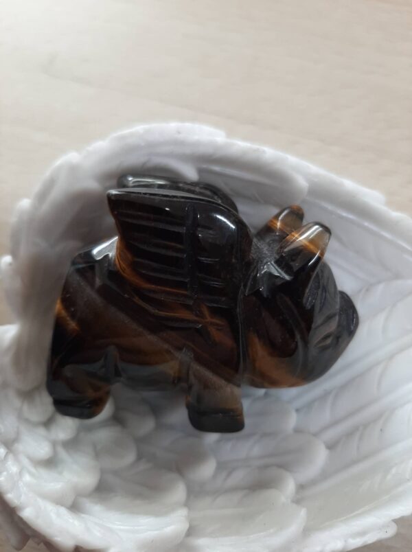 Tiger eye flying pig