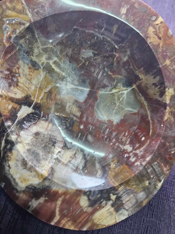 Stunning Petrified wood bowl - xl