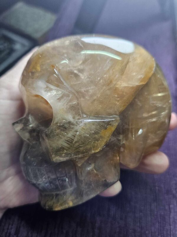 Golden healer quartz skull -xl