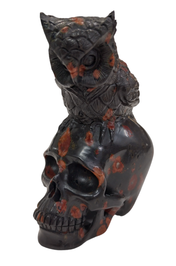 Skull with Owl - Plum Jasper - Image 2