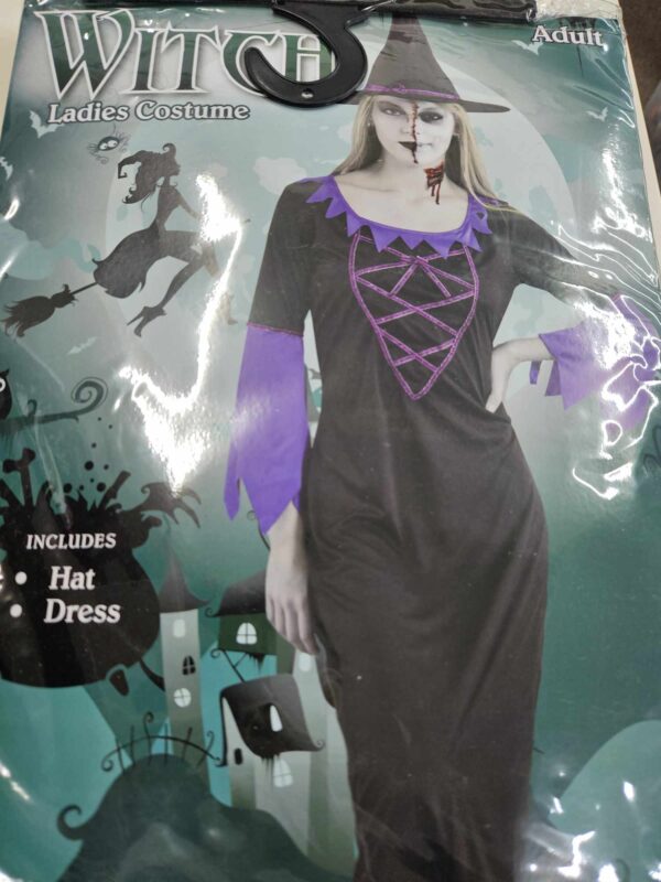 Womans witch costume- purple/black