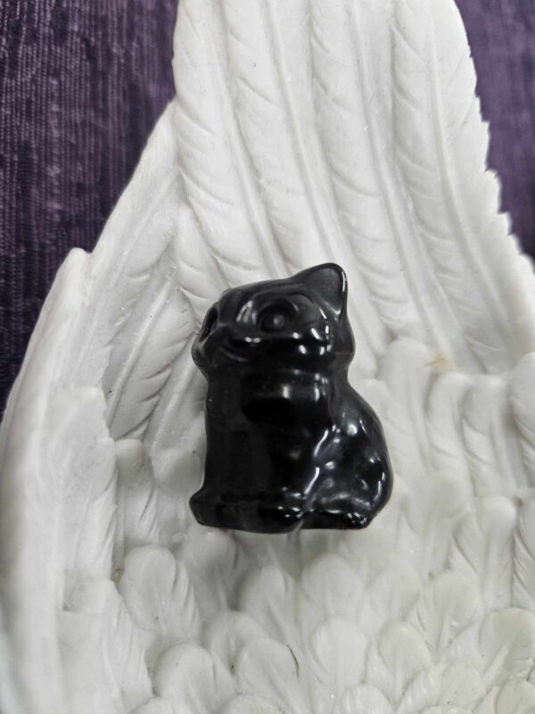 Black obsidan cute cat