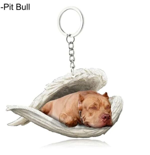 Angel keyring- Pitbull