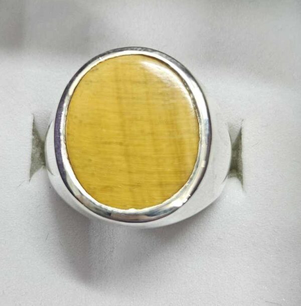 Tiger eye ring - size 9