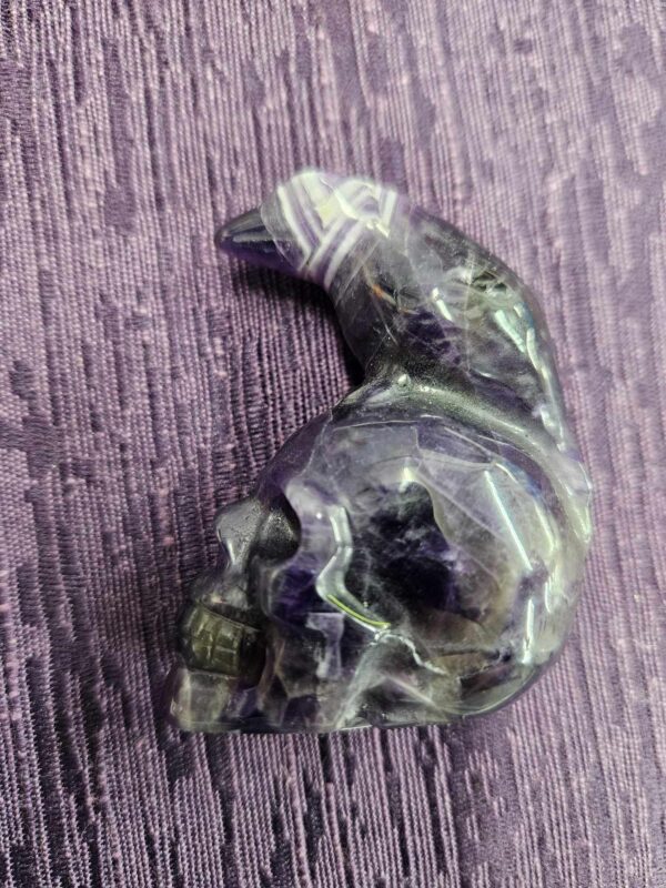 Chevon amethyst raven on skull