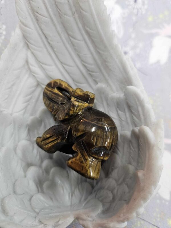 Tiger eye elephant