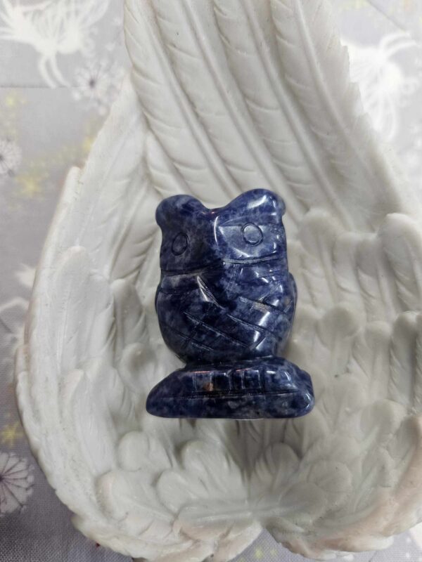 Sodalite owl