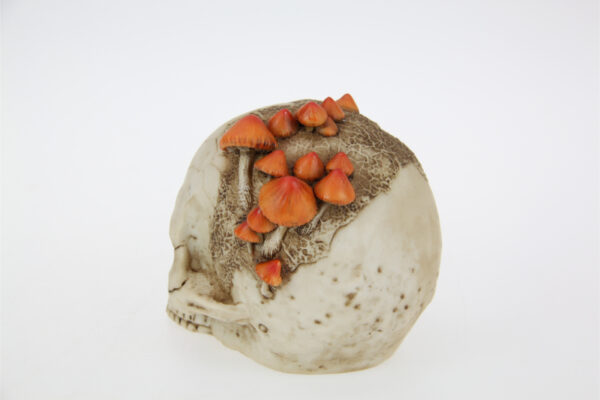 Skull with Mushrooms - Image 3