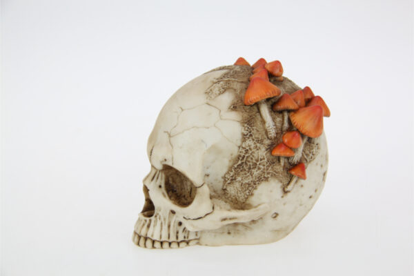 Skull with Mushrooms - Image 2