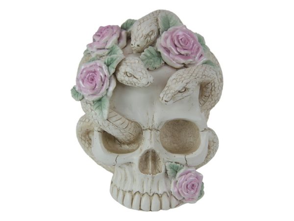 White rose skull