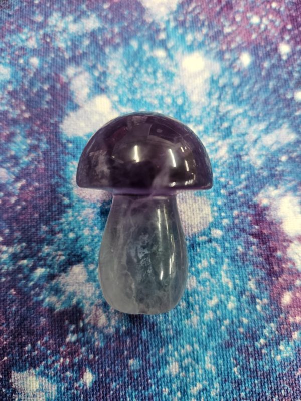 Fluorite mushroom(bs)