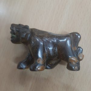Tiger eye tiger