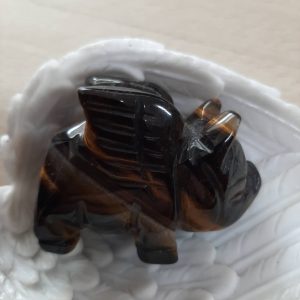 Tiger eye flying pig