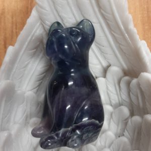 Rainbow fluorite dog