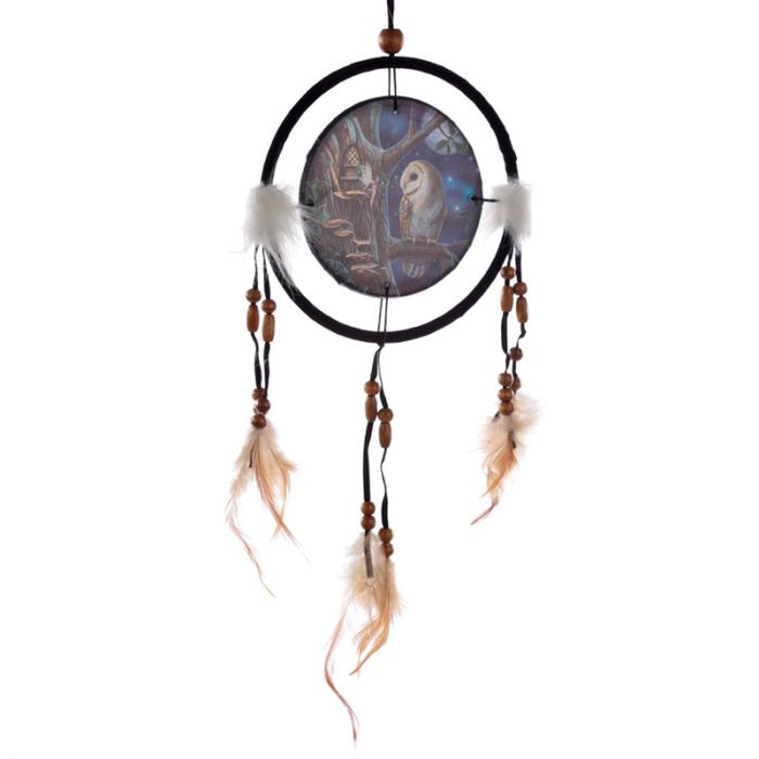 Dreamcatcher, Fairy Tales Owl & Fairy Dreamcatcher 16cm – LISA PARKER