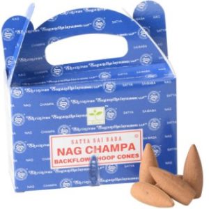 Satya nag champa backflow cones