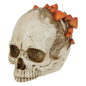 Skull with Mushrooms