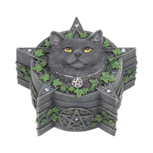 The Charmed One Cat Box by Lisa Parker 14.5cm
