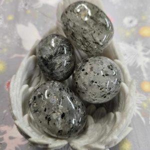 Dragon fruit tumble