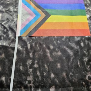lgbtqia+ mini flag