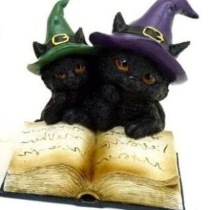 Witches Black Cat Magical Spell Book