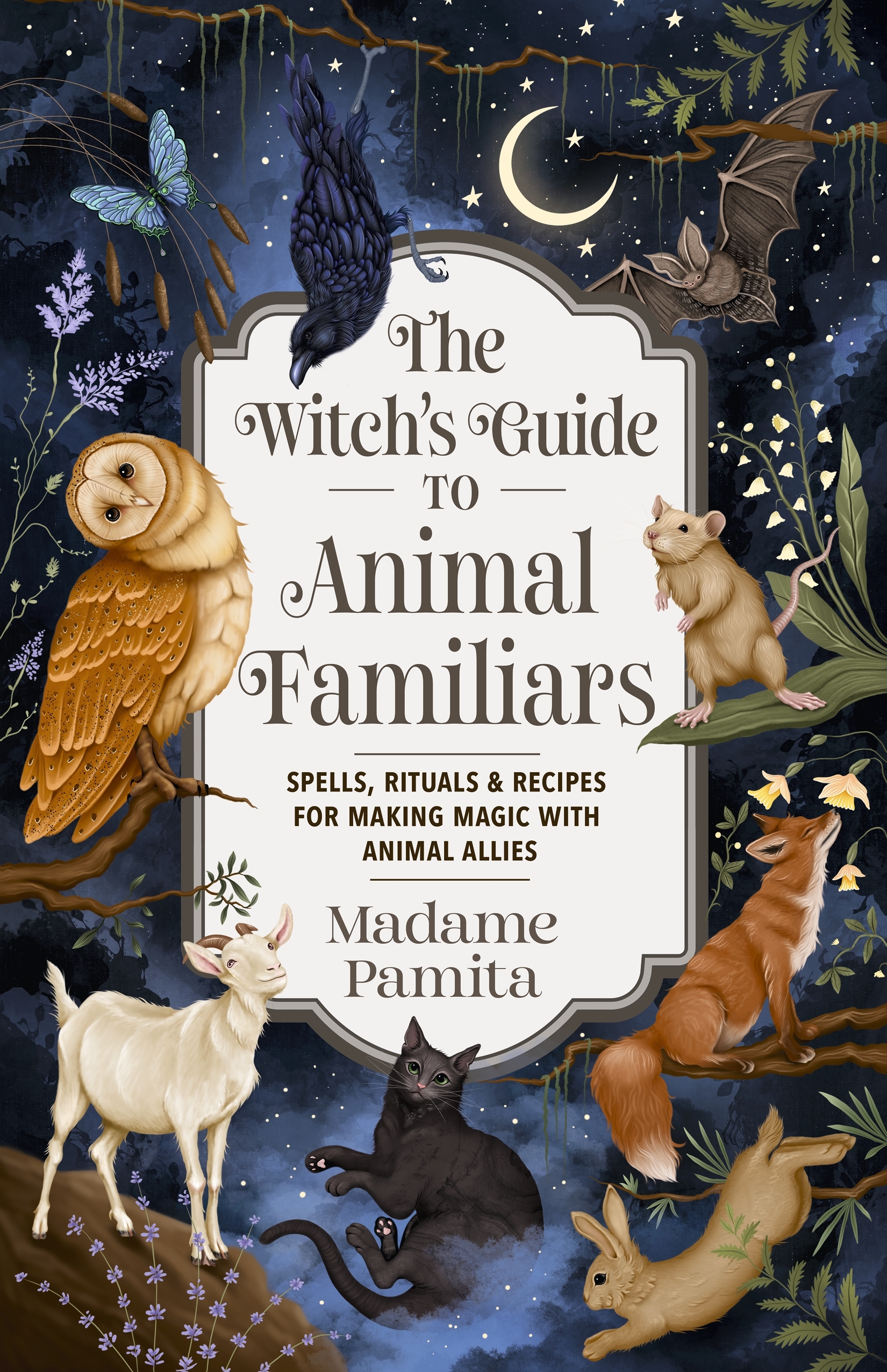 Witch's Guide to Animal Familiars, The