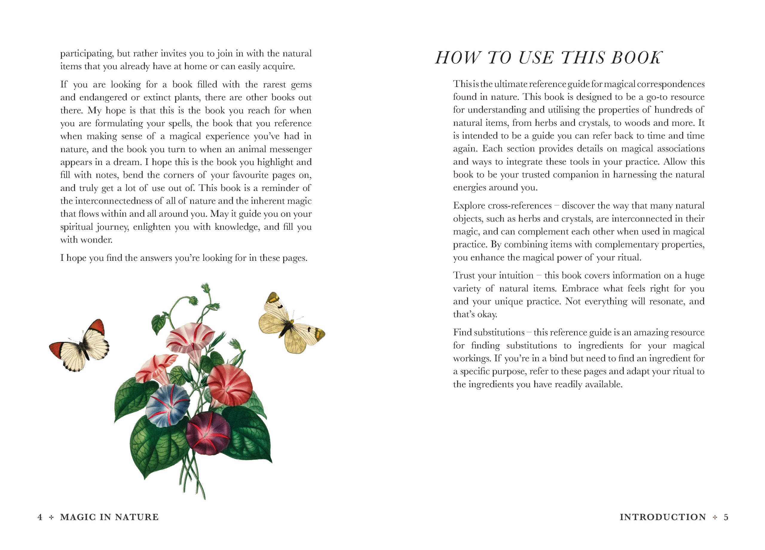 Practical Guide to Magic in Nature - Image 5