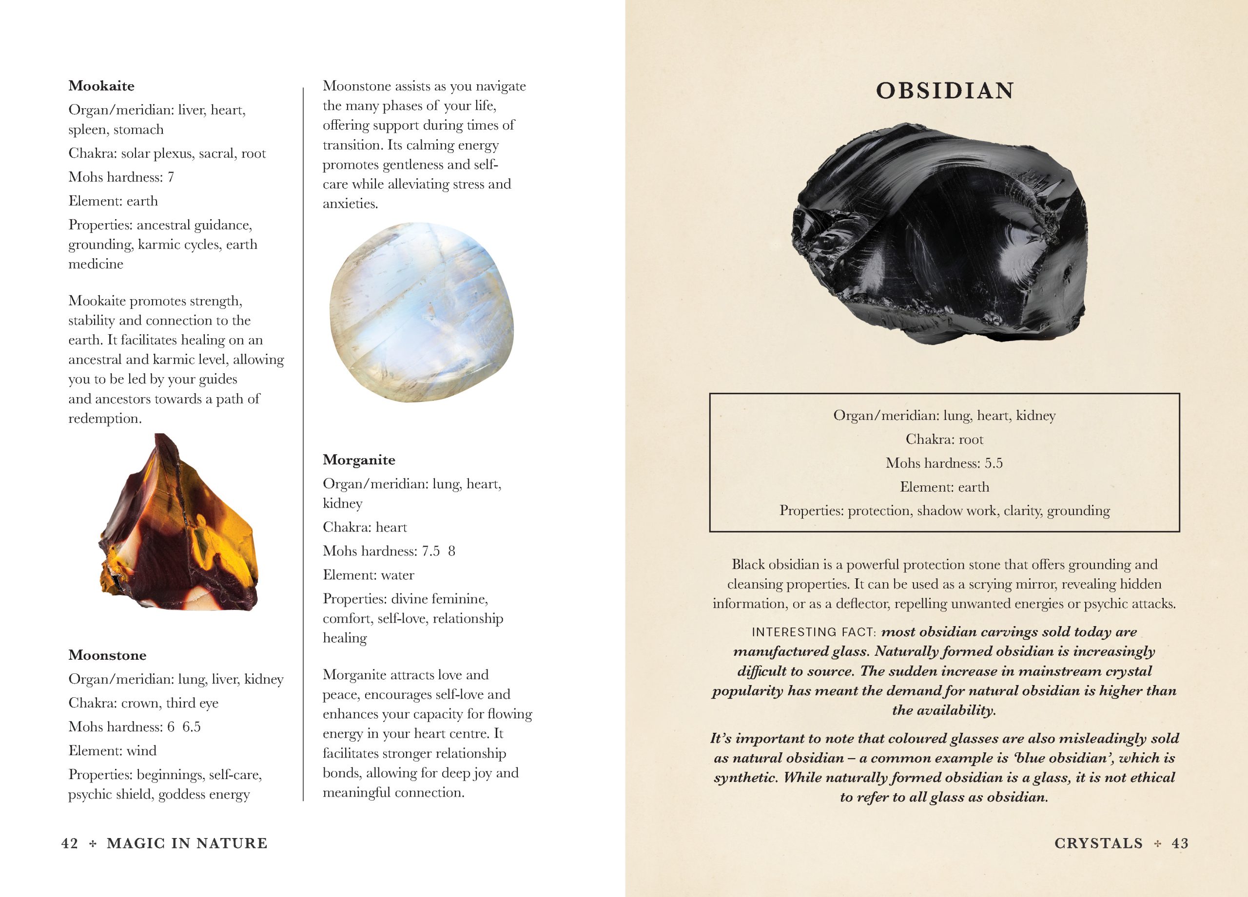 Practical Guide to Magic in Nature - Image 3