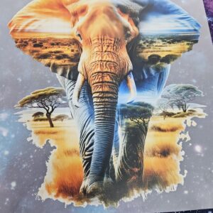 Customised T-Shirt- elephant