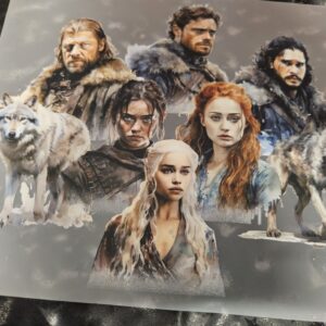 customised tshirt- games of throne