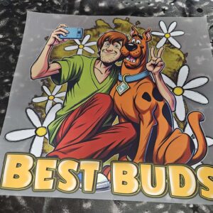 customised tshirt- best buds