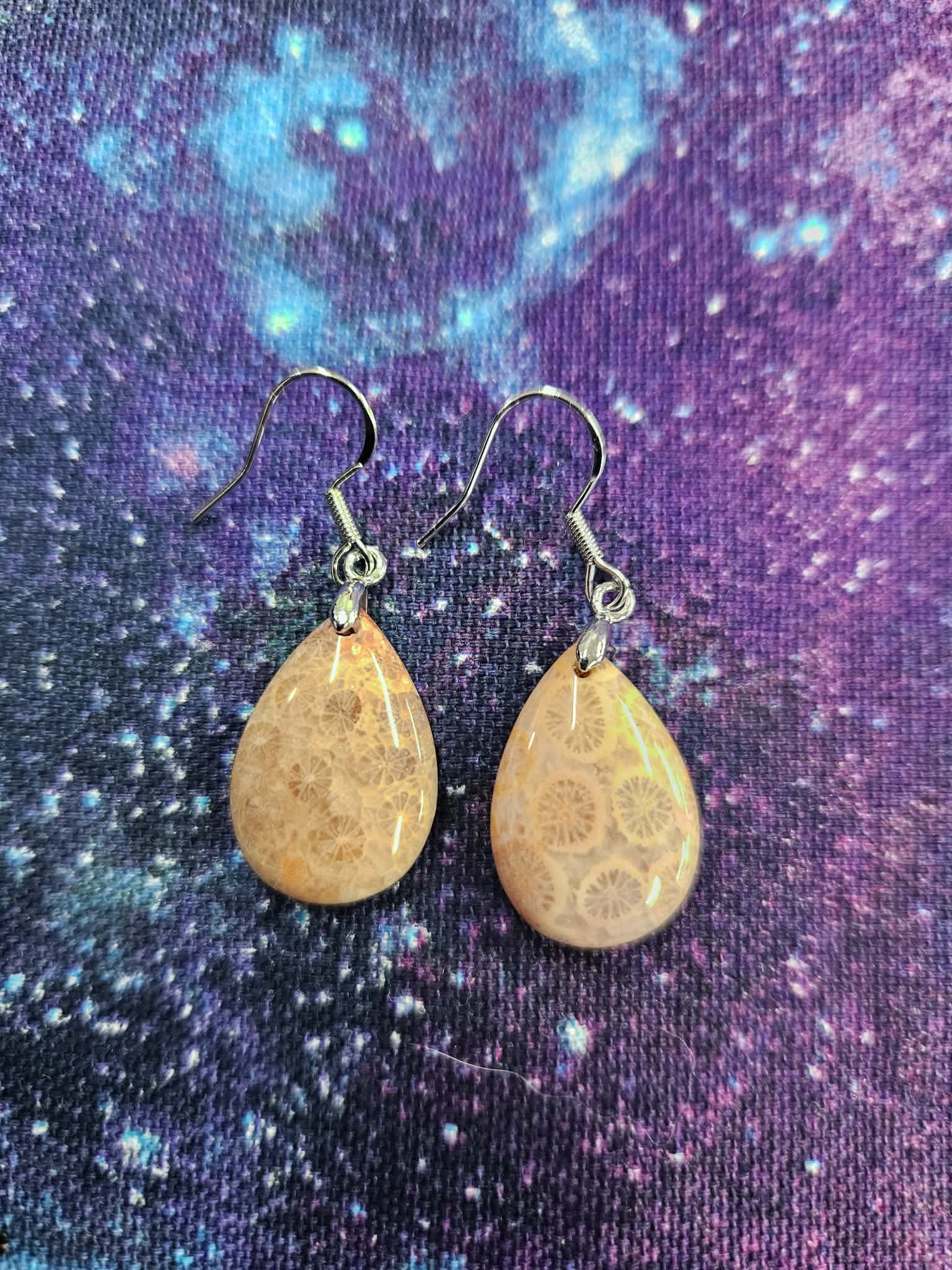 Fossilized corral earrings