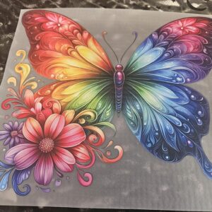 Customised Clothing- Rainbow Butterfly